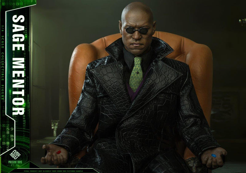 Load image into Gallery viewer, Sage Mentor - MINT IN BOX
