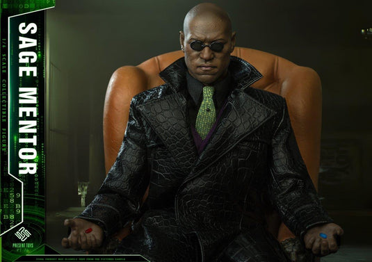 Sage Mentor - MINT IN BOX