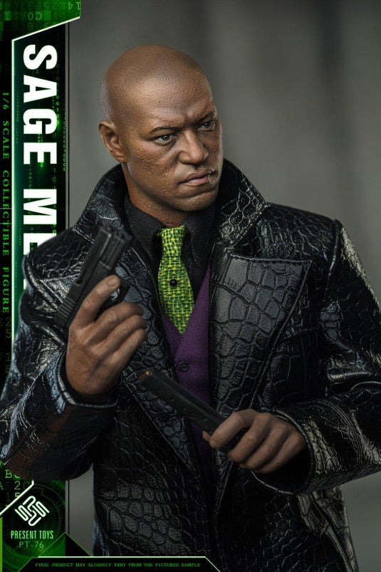 Sage Mentor - MINT IN BOX