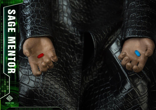 Sage Mentor - MINT IN BOX