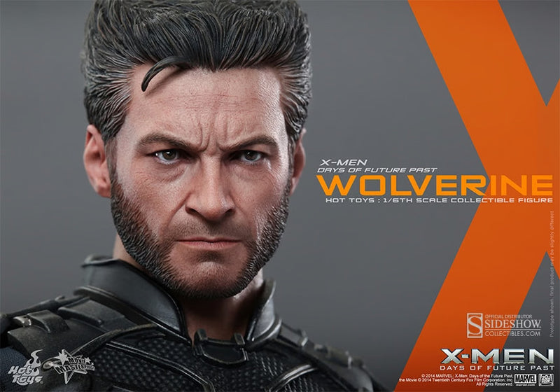 Load image into Gallery viewer, X-Men - Wolverine Headsculpt (Hot Toys)
