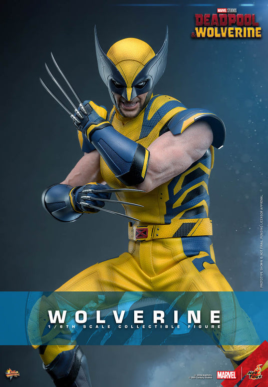 Deadpool & Wolverine - Wolverine Collector Edition - MINT IN BOX