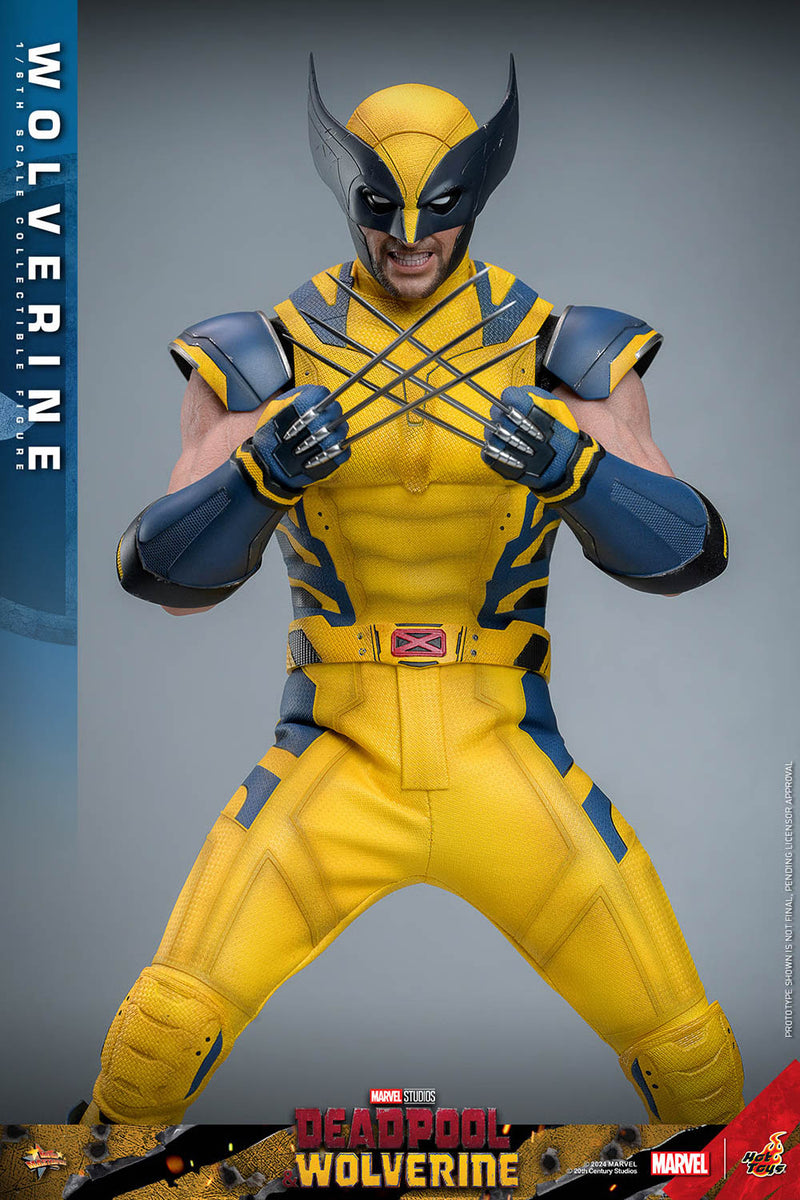 Load image into Gallery viewer, Deadpool &amp; Wolverine - Wolverine Collector Edition - MINT IN BOX

