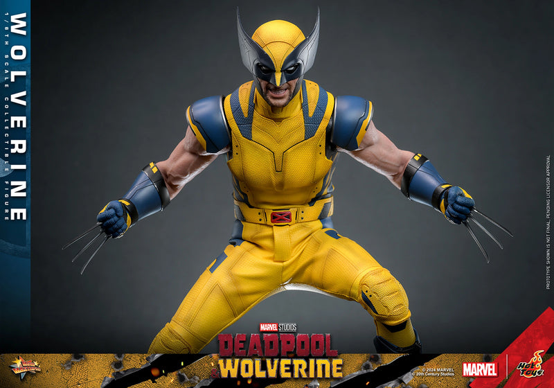 Load image into Gallery viewer, Deadpool &amp; Wolverine - Wolverine Collector Edition - MINT IN BOX
