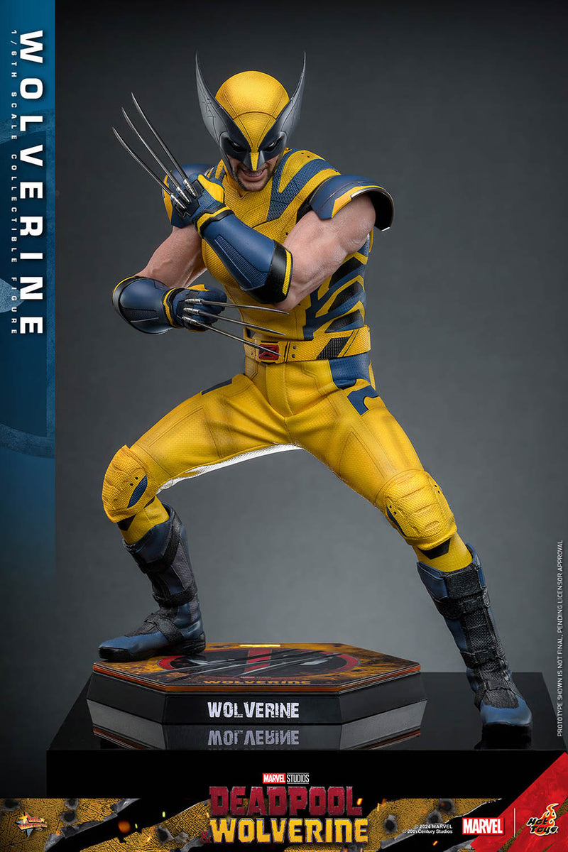 Load image into Gallery viewer, Deadpool &amp; Wolverine - Wolverine Collector Edition - MINT IN BOX
