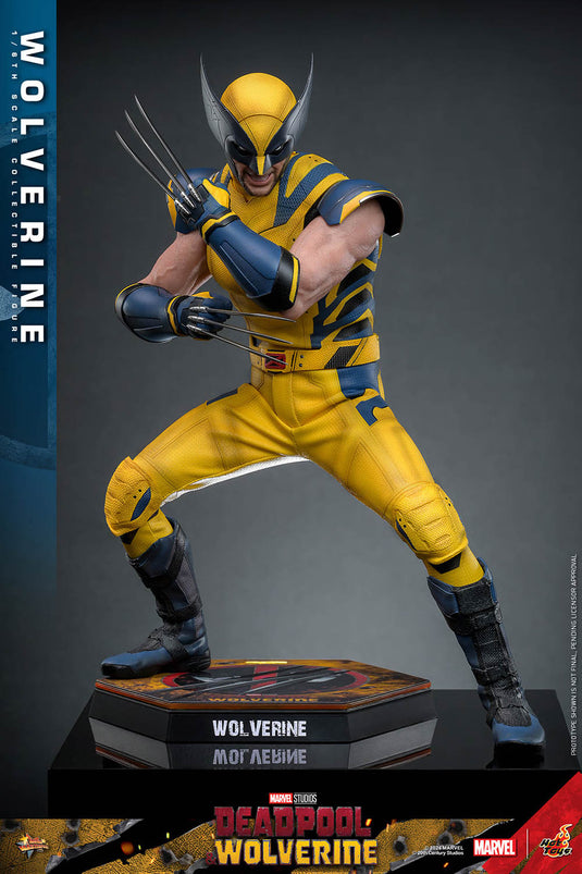 Deadpool & Wolverine - Wolverine Collector Edition - MINT IN BOX