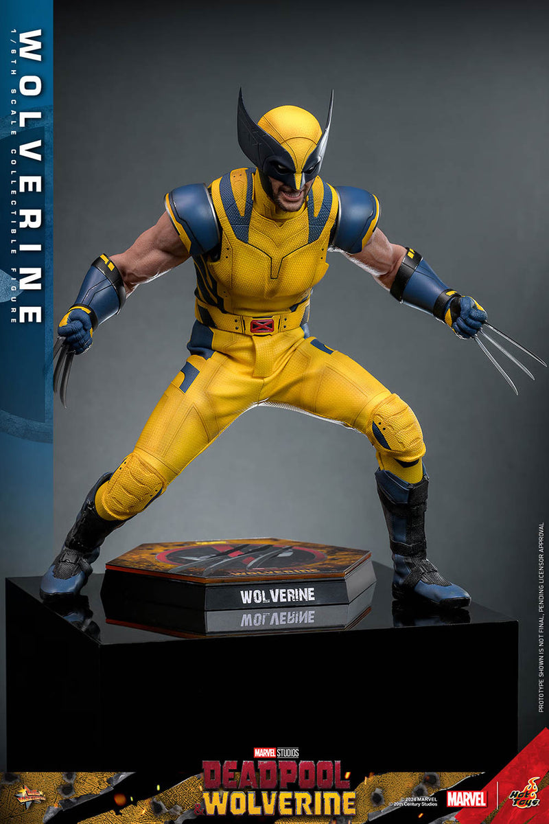 Load image into Gallery viewer, Deadpool &amp; Wolverine - Wolverine Collector Edition - MINT IN BOX
