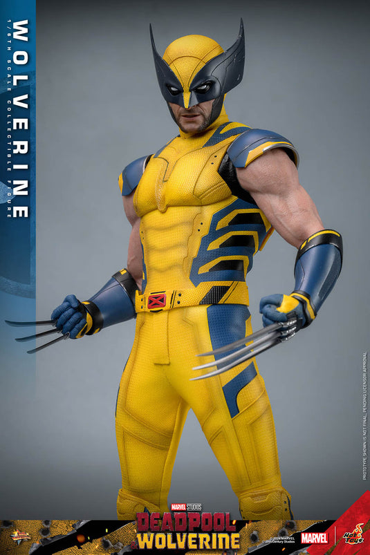 Deadpool & Wolverine - Wolverine Collector Edition - MINT IN BOX