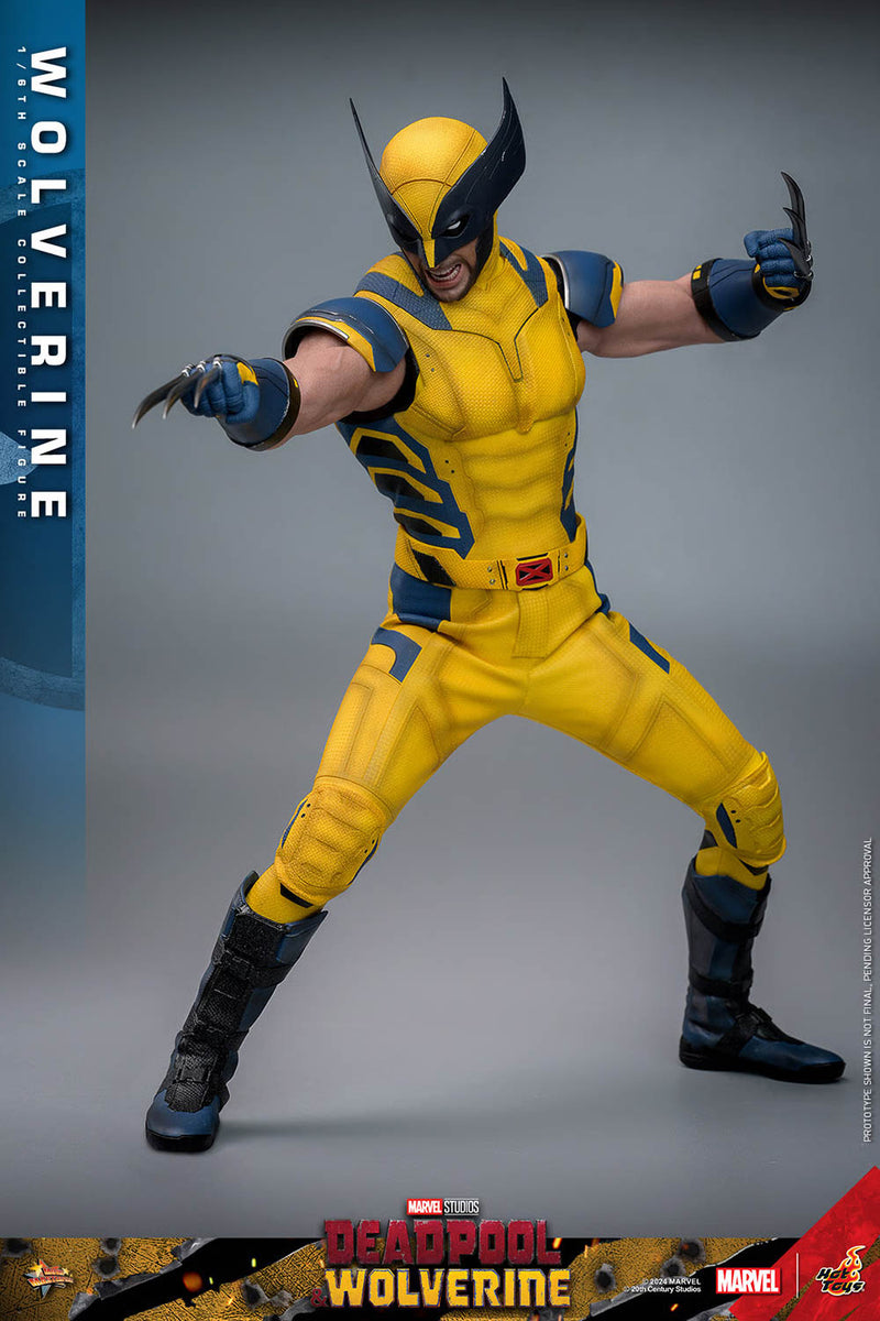 Load image into Gallery viewer, Deadpool &amp; Wolverine - Wolverine Collector Edition - MINT IN BOX
