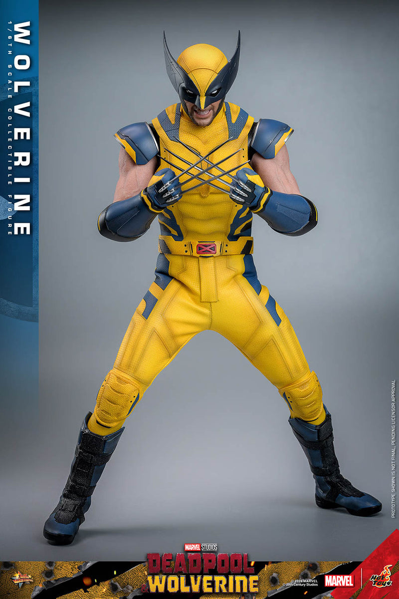 Load image into Gallery viewer, Deadpool &amp; Wolverine - Wolverine Collector Edition - MINT IN BOX
