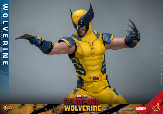 Deadpool & Wolverine - Wolverine Collector Edition - MINT IN BOX