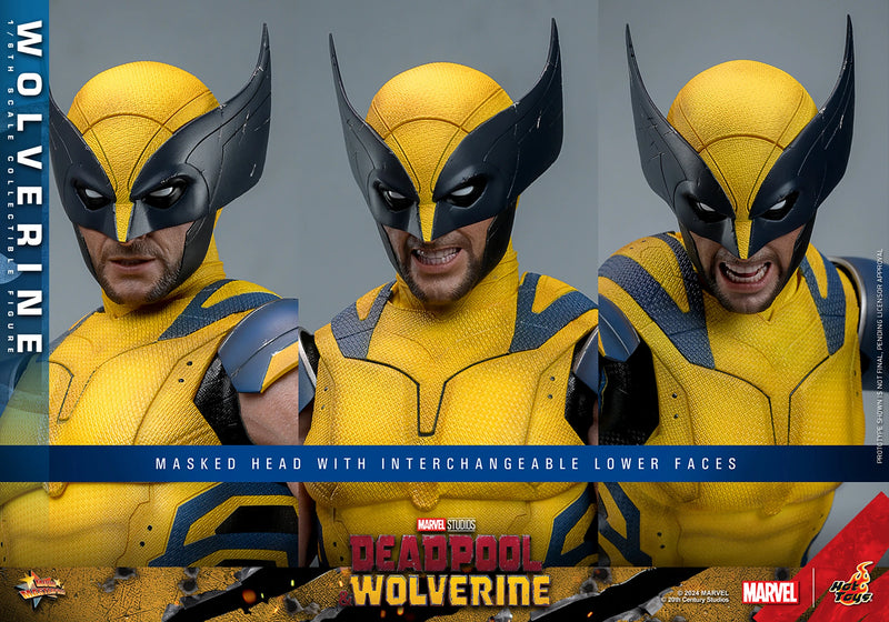 Load image into Gallery viewer, Deadpool &amp; Wolverine - Wolverine Collector Edition - MINT IN BOX
