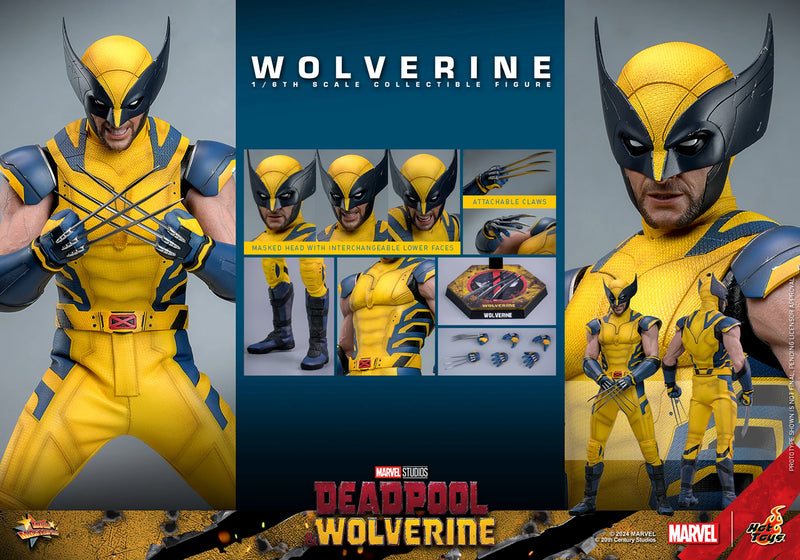 Load image into Gallery viewer, Deadpool &amp; Wolverine - Wolverine Collector Edition - MINT IN BOX
