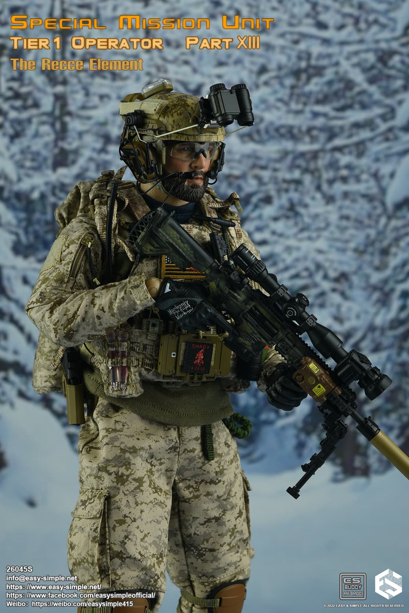 Load image into Gallery viewer, SMU Tier 1 Op. RECCE Element - AOR1 MOLLE Combat Vest
