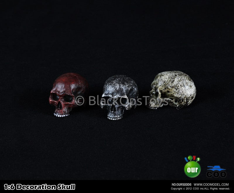 Load image into Gallery viewer, 1:6 Decoration Skull Series 1 &quot;Type C&quot; Headsculpt
