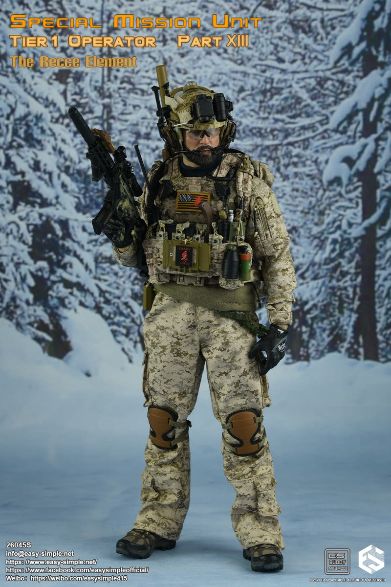 Load image into Gallery viewer, SMU Tier 1 Op. RECCE Element - Snow Shoes w/Ski Poles
