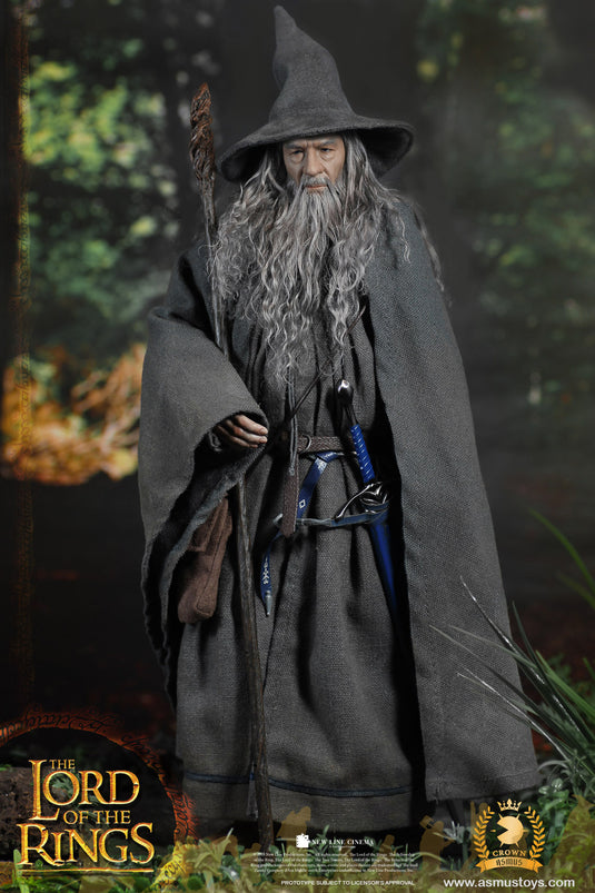 The Lord of the Rings Gandalf Pop! Vinyl Figure - Walmart.com