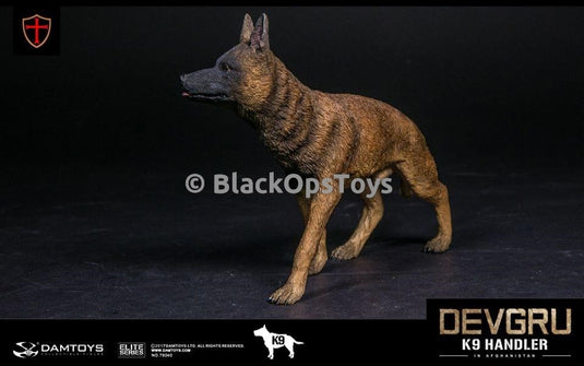 Navy Seal DEVGRU K9 Handler in Afghanistan WITH DOG Mint in Box