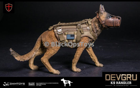 Navy Seal DEVGRU K9 Handler in Afghanistan WITH DOG Mint in Box