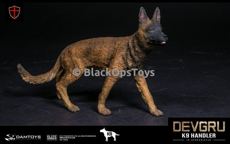 Load image into Gallery viewer, Navy Seal DEVGRU K9 Handler in Afghanistan WITH DOG Mint in Box
