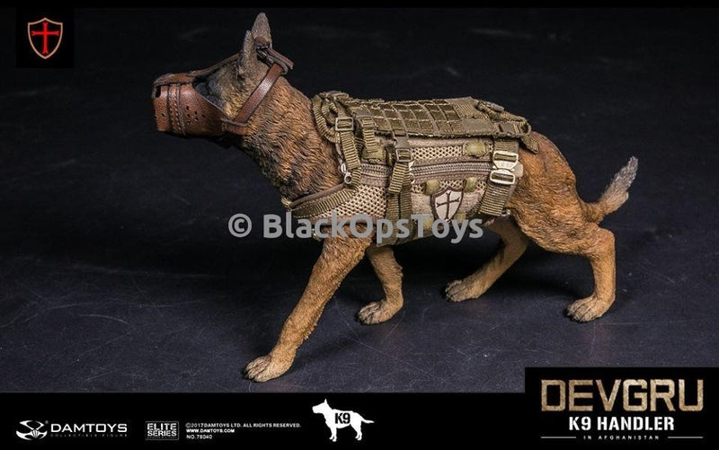 Load image into Gallery viewer, Navy Seal DEVGRU K9 Handler in Afghanistan WITH DOG Mint in Box
