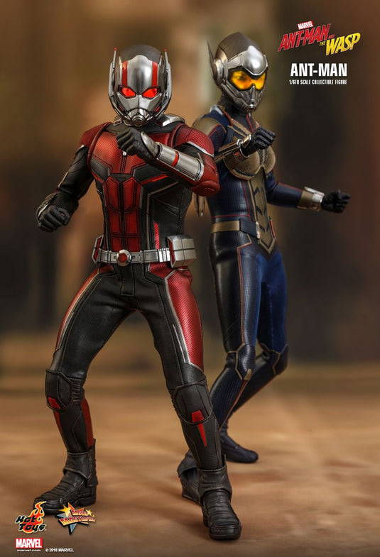Ant Man & The Wasp Combo Pack - MINT IN BOX