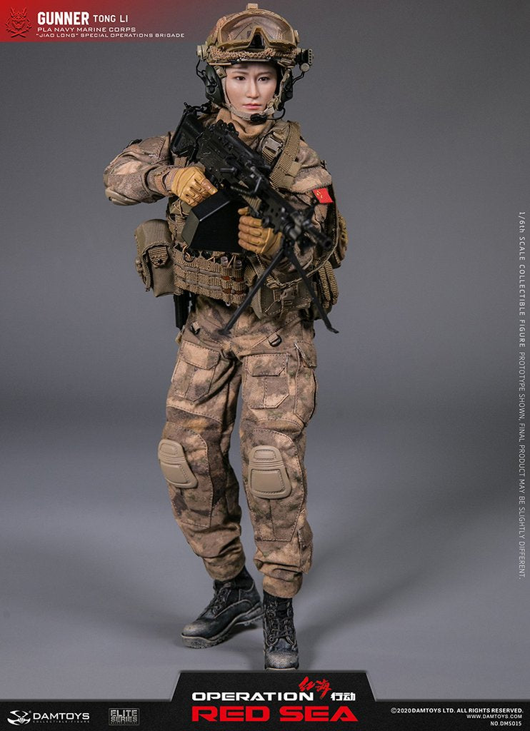Load image into Gallery viewer, Operation Red Sea - PLA Jiaolong - Patches
