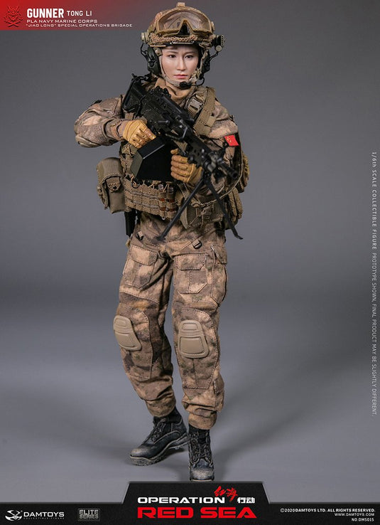 Operation Red Sea - PLA Jiaolong - Tactical MOLLE Plate Carrier