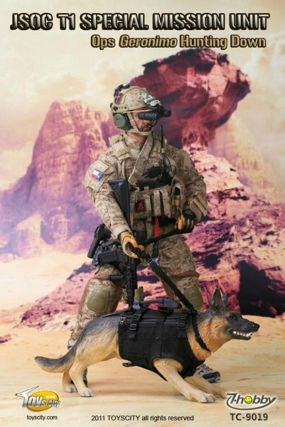 Load image into Gallery viewer, JSOC T1 Special Mission Unit - DIGI2 AOR1 MOLLE Modular Assault Pack
