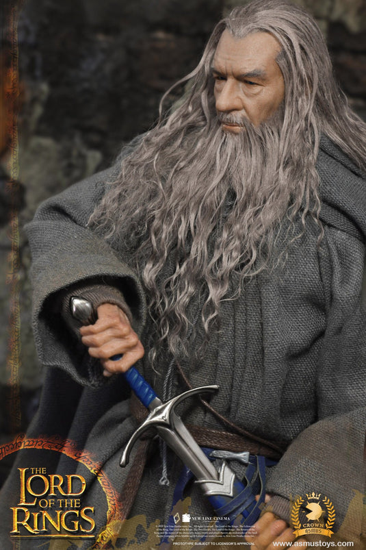 LOTR - Crown Series Gandalf - Detailed Male Head Sculpt w/Rooted Hair
