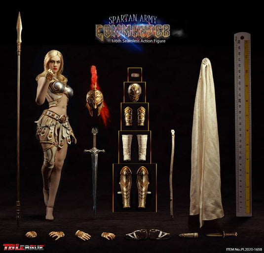 Silver Spartan Army Commander - White Leather Like Belt