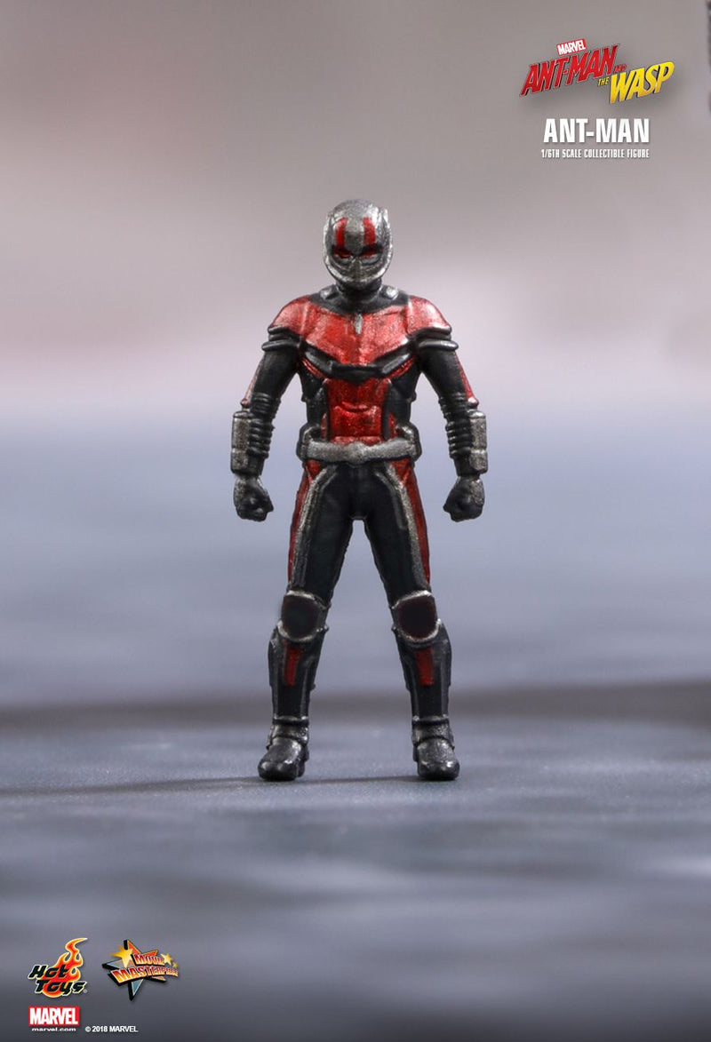 Load image into Gallery viewer, Ant Man &amp; The Wasp - Ant Man - MINT IN BOX
