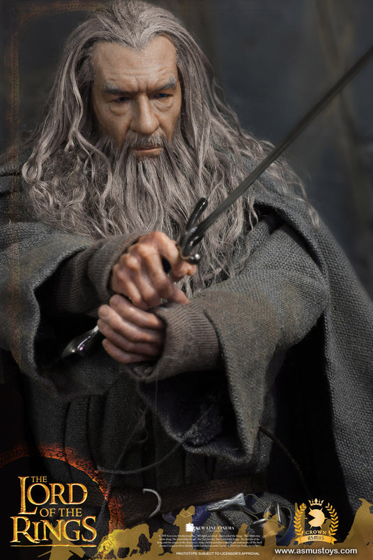 LOTR - Gandalf the Grey - MINT IN BOX