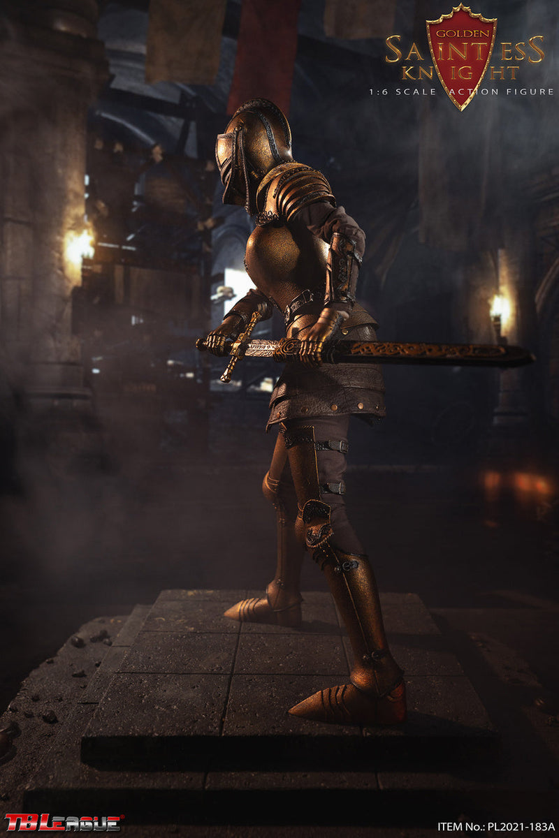 Load image into Gallery viewer, Saintless Knight Gold Ver - Gold Like Female Boots &amp; Greaves (Peg Type)
