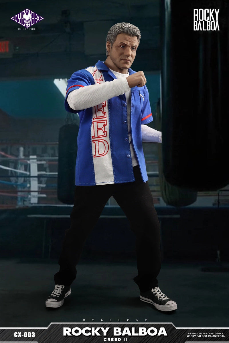 Load image into Gallery viewer, Creed II - Coach Balboa - Base Figure Stand
