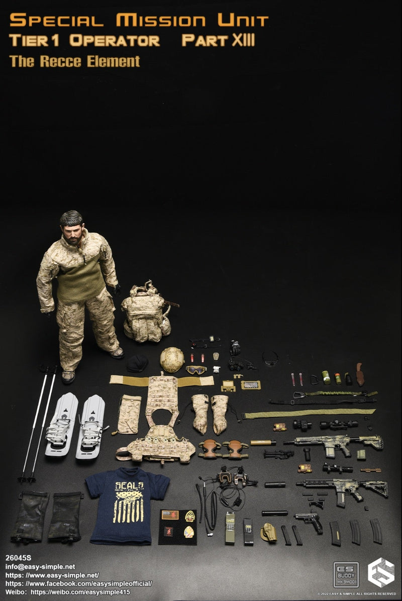 Load image into Gallery viewer, SMU Tier 1 Op. RECCE Element - AOR1 MOLLE Combat Vest
