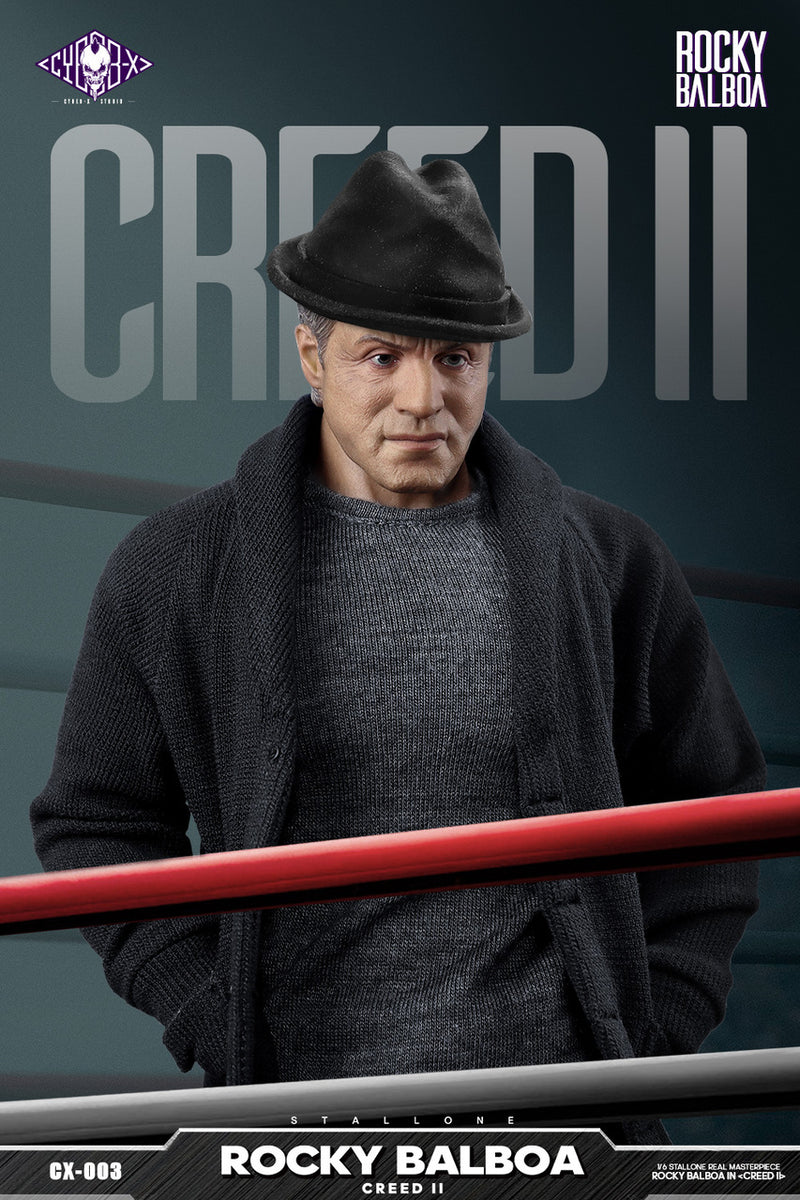 Load image into Gallery viewer, Creed II - Coach Stallion - MINT IN BOX
