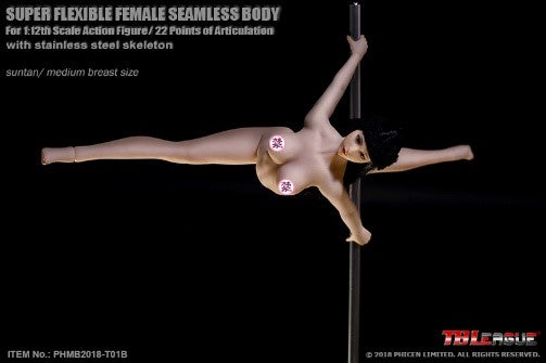 Load image into Gallery viewer, 1/12 Scale - Suntan Super Flexible Female Seamless - MINT IN BOX
