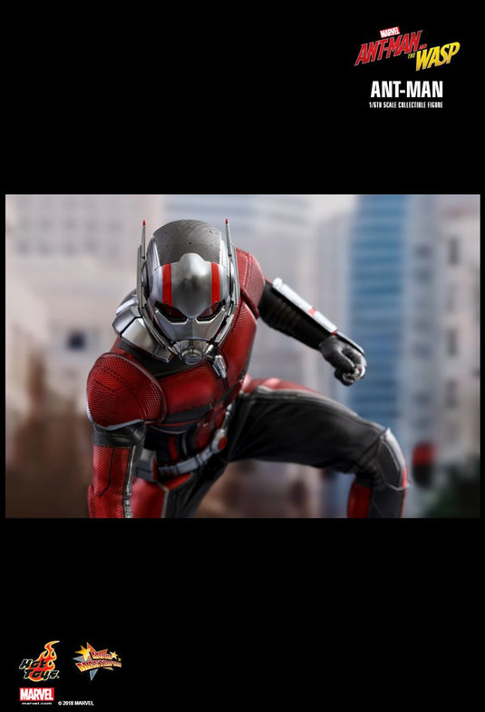 Ant Man & The Wasp - Ant Man - MINT IN BOX
