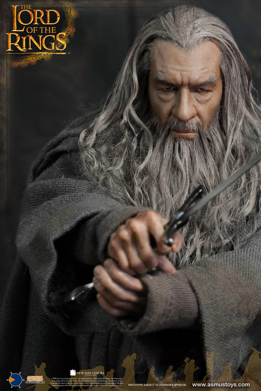 LOTR - Gandalf the Grey - MINT IN BOX