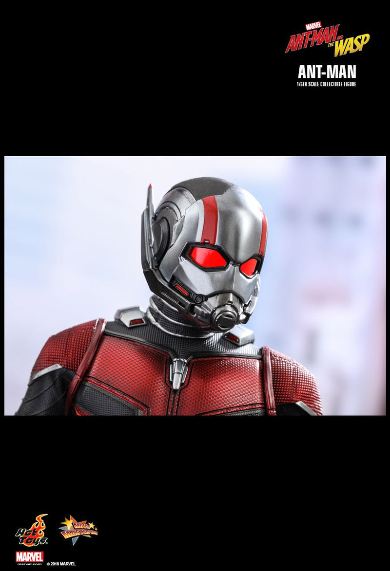 Load image into Gallery viewer, Ant Man &amp; The Wasp - Ant Man - MINT IN BOX
