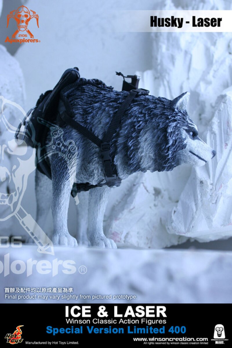 Load image into Gallery viewer, Apexplorers Ice &amp; Laser Special Ver. - MINT IN BOX
