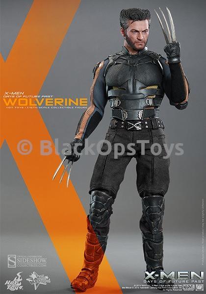 Load image into Gallery viewer, X-Men - Wolverine Headsculpt (Hot Toys)
