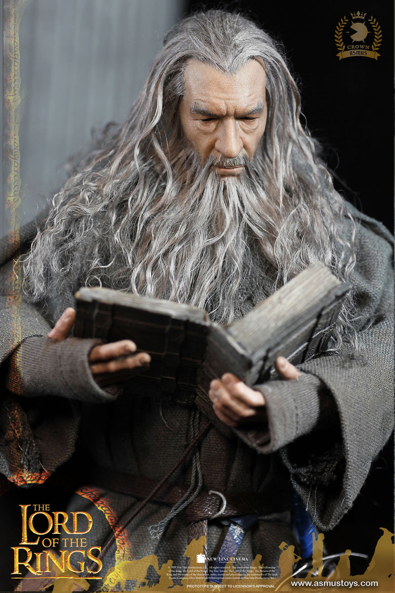 Load image into Gallery viewer, LOTR - Gandalf the Grey - MINT IN BOX
