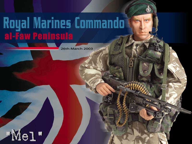 Load image into Gallery viewer, Royal Marines - Commando - Woodland Camo Tactical Vest
