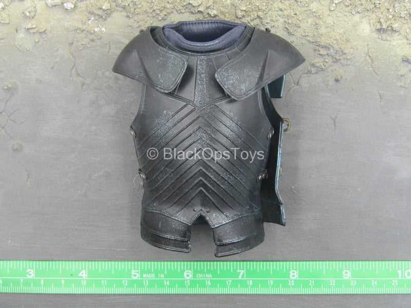 Load image into Gallery viewer, GOT - Brienne of Tarth - Torso Armor
