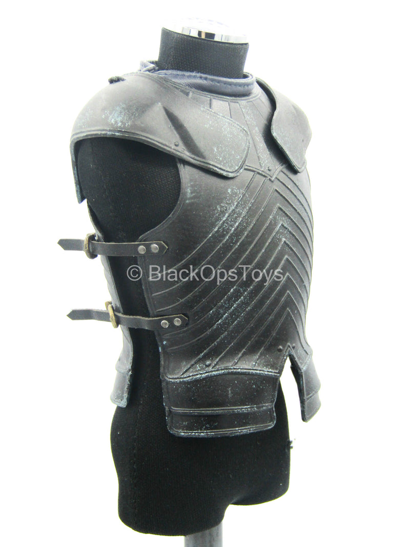 Load image into Gallery viewer, GOT - Brienne of Tarth - Torso Armor
