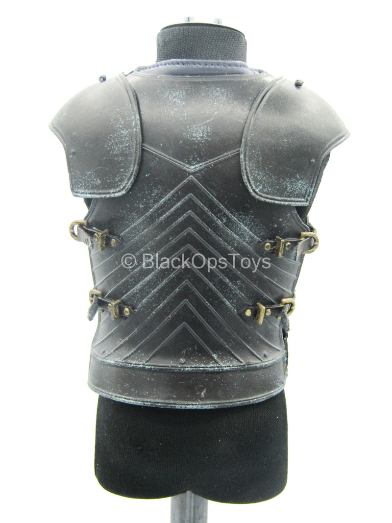 Load image into Gallery viewer, GOT - Brienne of Tarth - Torso Armor

