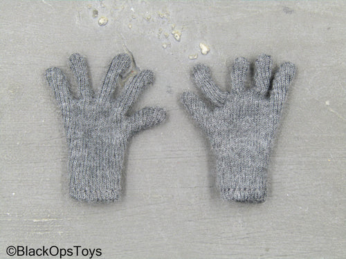 Rare WWII - German SS-Sturman - Grey Gloves
