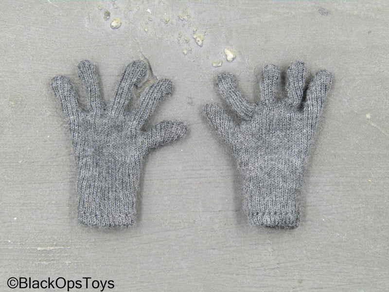 Load image into Gallery viewer, Rare WWII - German SS-Sturman - Grey Gloves
